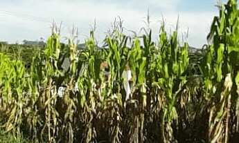 Imagem: TERRENO RESIDENCIAL em NOVA PETRÓPOLIS