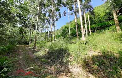 Imagem 6: AREA RURAL em NOVA PETRÓPOLIS - RS, Ninho das Águias