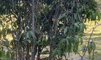 Imagem 3: AREA RURAL em LINHA NOVA - RS, Canto Rückert