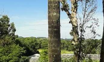 Imagem 5: TERRENO RESIDENCIAL em NOVA PETRÓPOLIS - RS, Bairro Piá