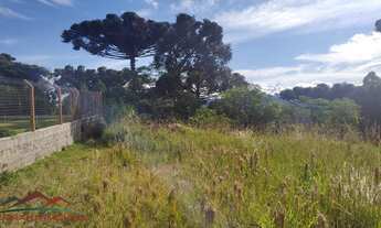 Imagem 3: TERRENO RESIDENCIAL em NOVA PETRÓPOLIS - RS, Pinhal Alto