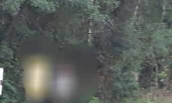 Imagem 2: TERRENO RESIDENCIAL em NOVA PETRÓPOLIS - RS, Linha Imperial