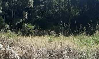 Imagem 5: AREA RURAL em NOVA PETRÓPOLIS - RS, Linha Imperial