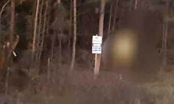 Imagem 6: TERRENO RESIDENCIAL em NOVA PETRÓPOLIS - RS, Linha Imperial