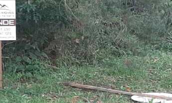 Imagem 5: TERRENO RESIDENCIAL em NOVA PETRÓPOLIS - RS, Linha Imperial