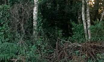 Imagem 6: TERRENO RESIDENCIAL em NOVA PETRÓPOLIS - RS, Linha Imperial