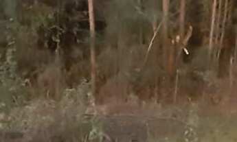 Imagem 5: TERRENO RESIDENCIAL em NOVA PETRÓPOLIS - RS, Linha Imperial