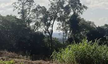 Imagem: AREA RURAL em NOVA PETRÓPOLIS - RS, Linha