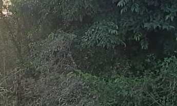 Imagem: TERRENO RESIDENCIAL em NOVA PETRÓPOLIS