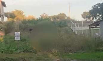 Imagem 6: TERRENO RESIDENCIAL em NOVA PETRÓPOLIS - RS, Linha Imperial