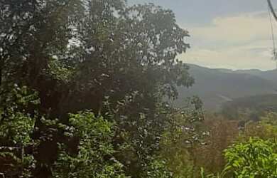 Imagem 5: AREA RURAL em Picada Café - RS, Picada Holanda