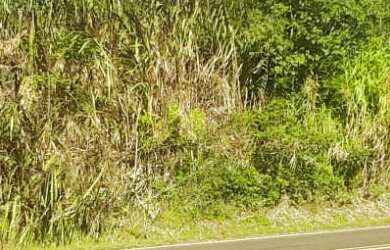 Imagem 3: AREA RURAL em Picada Café - RS, Picada Holanda