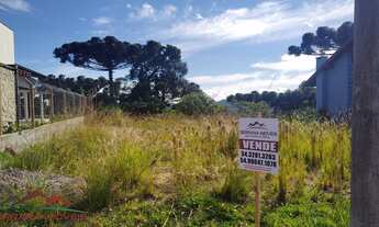 Imagem: TERRENO RESIDENCIAL em NOVA PETRÓPOLIS