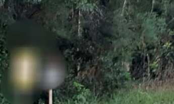 Imagem 3: TERRENO RESIDENCIAL em NOVA PETRÓPOLIS - RS, Linha Imperial