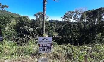 Imagem: TERRENO RESIDENCIAL em NOVA PETRÓPOLIS