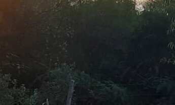 Imagem 2: TERRENO RESIDENCIAL em NOVA PETRÓPOLIS - RS, Linha Imperial