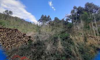 Imagem 6: AREA RURAL em NOVA PETRÓPOLIS - RS, Linha Imperial