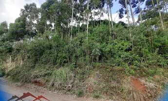 Imagem 4: AREA RURAL em NOVA PETRÓPOLIS - RS, Linha Imperial