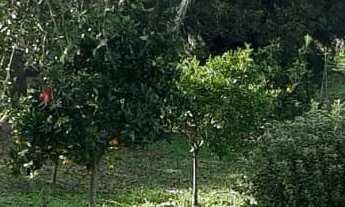 Imagem: CASA RESIDENCIAL em NOVA PETRÓPOLIS - RS