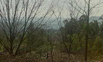 Imagem: AREA RURAL em NOVA PETRÓPOLIS - RS, Linha