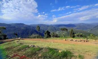 Imagem: AREA RURAL em NOVA PETRÓPOLIS - RS, Linha