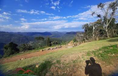 Imagem 6: AREA RURAL em NOVA PETRÓPOLIS - RS, Linha Brasil