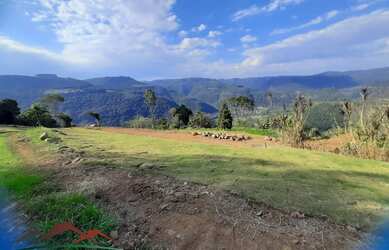 Imagem 5: AREA RURAL em NOVA PETRÓPOLIS - RS, Linha Brasil