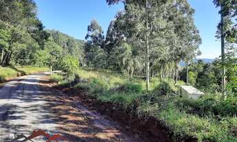 Imagem: AREA RURAL em NOVA PETRÓPOLIS - RS, Ninho