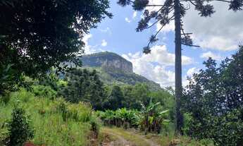 Imagem: SITIO RURAL em NOVA PETRÓPOLIS - RS, Linha