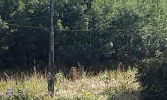 Imagem: AREA RURAL em LINHA NOVA - RS, Morro Grande