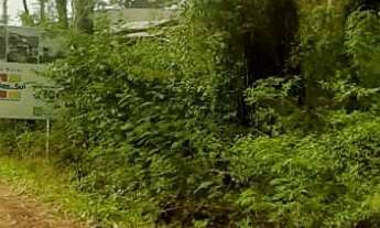 Imagem 3: AREA COMERCIAL em NOVA PETRÓPOLIS - RS, Linha Imperial