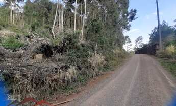 Imagem 5: AREA RURAL em NOVA PETRÓPOLIS - RS, Linha Imperial