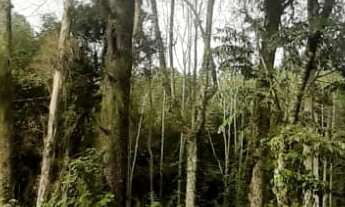 Imagem 2: AREA COMERCIAL em NOVA PETRÓPOLIS - RS, Linha Imperial