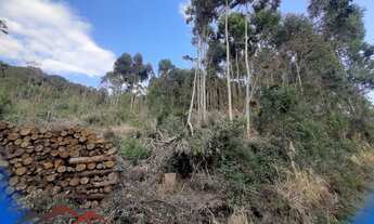 Imagem: AREA RURAL em NOVA PETRÓPOLIS - RS, Linha