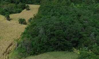 Imagem: AREA RURAL em NOVA PETRÓPOLIS - RS, Linha
