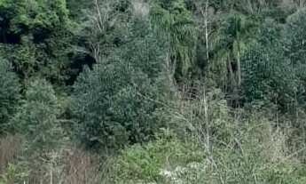 Imagem 2: AREA RURAL em NOVA PETRÓPOLIS - RS, Arroio Paixão