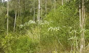 Imagem 4: AREA RURAL em NOVA PETRÓPOLIS - RS, Arroio Paixão