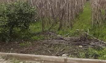 Imagem 3: TERRENO RESIDENCIAL em NOVA PETRÓPOLIS - RS, Pousada da Neve