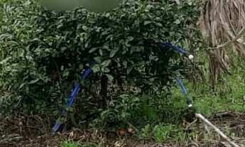 Imagem 5: TERRENO RESIDENCIAL em NOVA PETRÓPOLIS - RS, Pousada da Neve