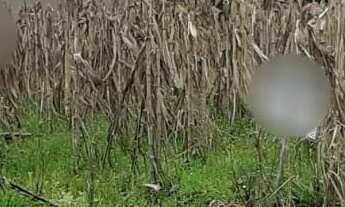 Imagem 4: TERRENO RESIDENCIAL em NOVA PETRÓPOLIS - RS, Pousada da Neve