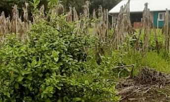 Imagem 7: TERRENO RESIDENCIAL em NOVA PETRÓPOLIS - RS, Pousada da Neve