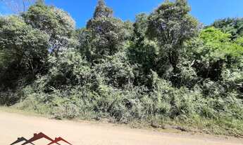 Imagem 5: TERRENO RURAL em NOVA PETRÓPOLIS - RS, Linha Araripe