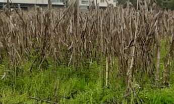 Imagem 6: TERRENO RESIDENCIAL em NOVA PETRÓPOLIS - RS, Pousada da Neve