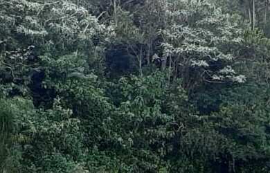 Imagem 3: AREA RURAL em NOVA PETRÓPOLIS - RS, Fazenda Pirajá