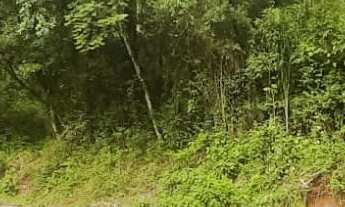 Imagem 5: AREA RURAL em NOVA PETRÓPOLIS - RS, Arroio Paixão