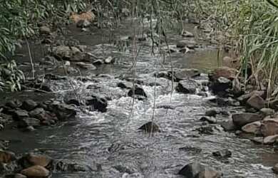 Imagem 2: AREA RURAL em NOVA PETRÓPOLIS - RS, Arroio Paixão