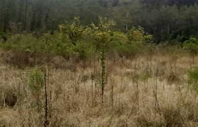 Imagem 6: AREA RURAL em NOVA PETRÓPOLIS - RS, Arroio Paixão