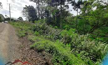 Imagem 5: TERRENO RESIDENCIAL em NOVA PETRÓPOLIS - RS, Linha Olinda