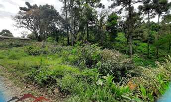 Imagem 6: TERRENO RESIDENCIAL em NOVA PETRÓPOLIS - RS, Linha Olinda