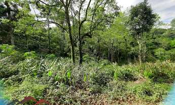 Imagem 2: TERRENO RESIDENCIAL em NOVA PETRÓPOLIS - RS, Linha Olinda